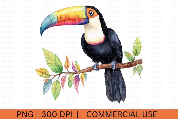 Summer Toucan, Tropical Bird PNG: Graphics for Crafts & Brands