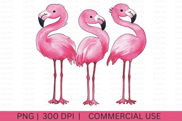 Watercolor Pink Flamingos PNG: A Crafter's Graphics Review